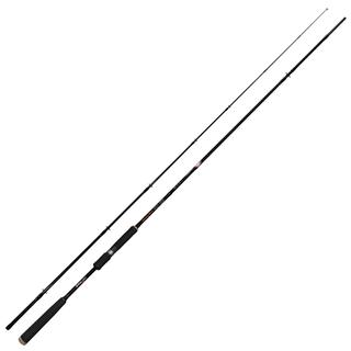 Fishing Rod Pregio Strange 2.70m 10-45gr