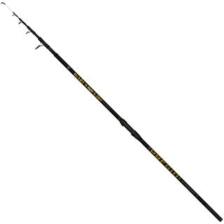 Fishing Rods Pregio Icarus-200 4,20m 100-200gr 15-351