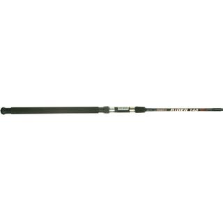 Fishing Rod Pregio Rider