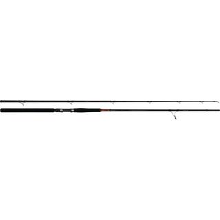 Fishing Rods Pregio Passion Shore Jigging SJ10305H