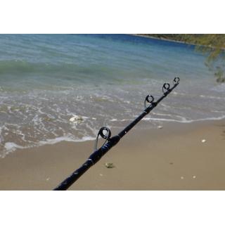 Fishing Rods Pregio Throne Live Bait 21-0250 (NEW)